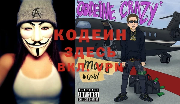 дурь Алексин