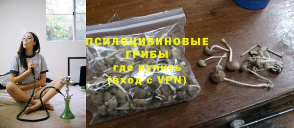 стафф Алексеевка