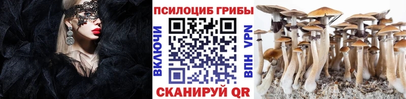 где найти   Ревда  Псилоцибиновые грибы мухоморы 